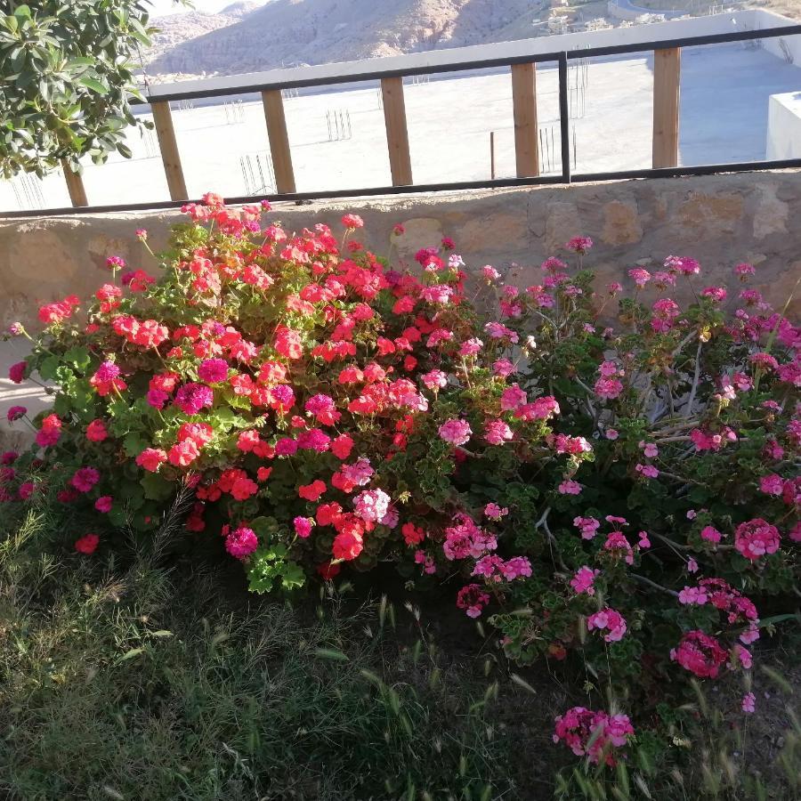 Infinity Lodge Wadi Musa Exterior photo
